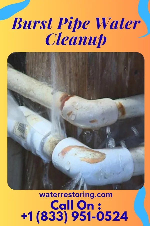 Burst Pipe Water Cleanup in Tuckerton, NJ