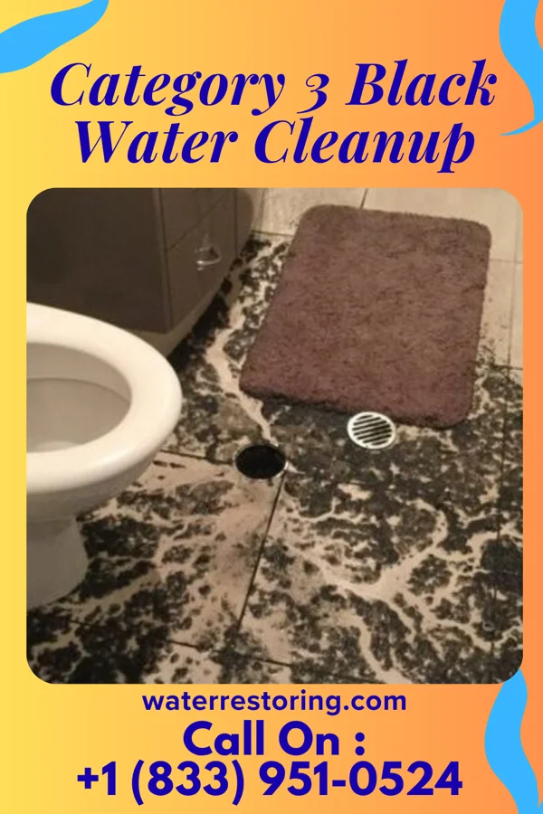 Category 3 Black Water Cleanup in Tuckerton, NJ