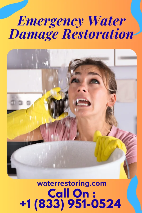 Emergency Water Damage Restoration in Tuckerton, NJ