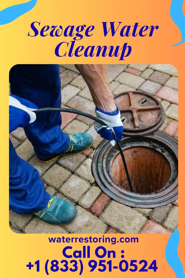 Sewage Water Cleanup in Tuckerton, NJ